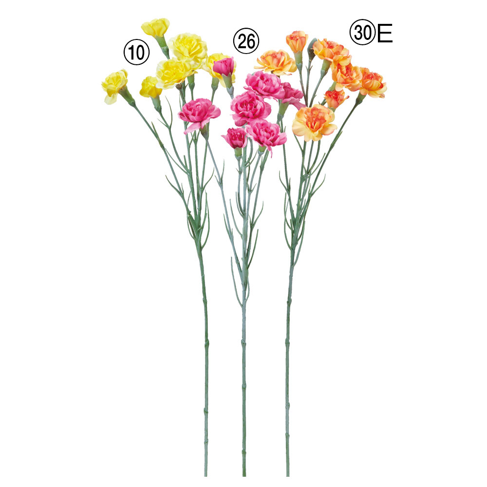 カーネーション×7つぼみ×1
