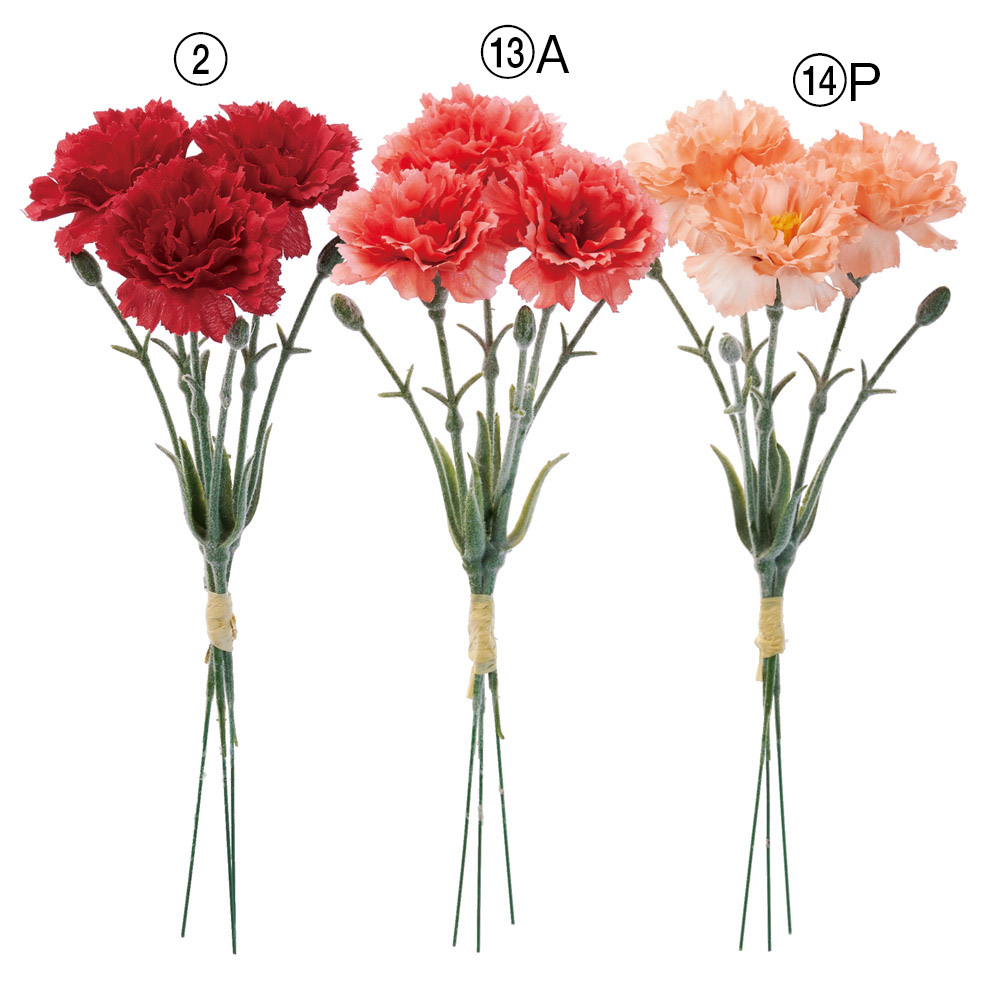 カーネーションバンチ（1束3本）