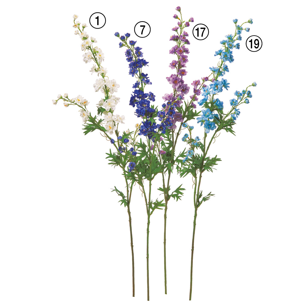 デルフィニウム