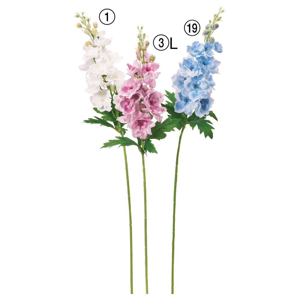 デルフィニウム