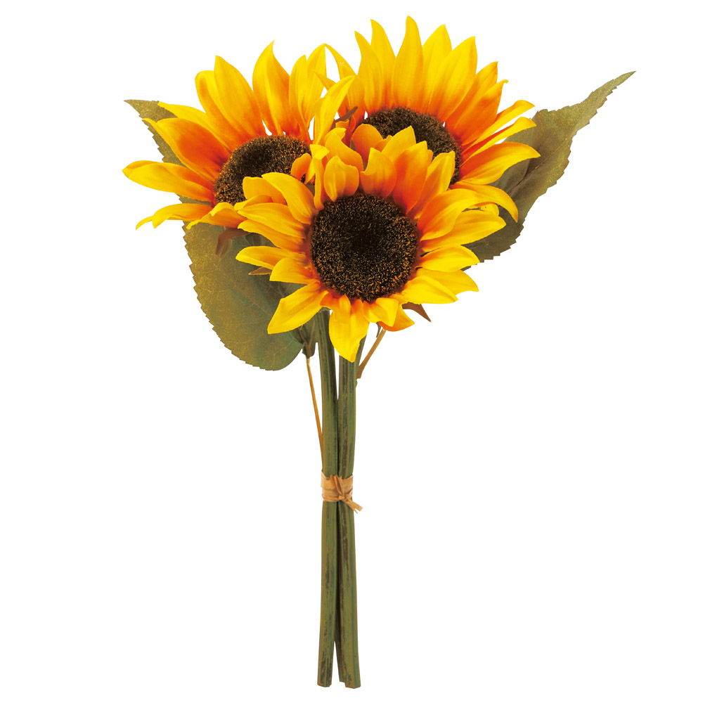 サンフラワーバンチ