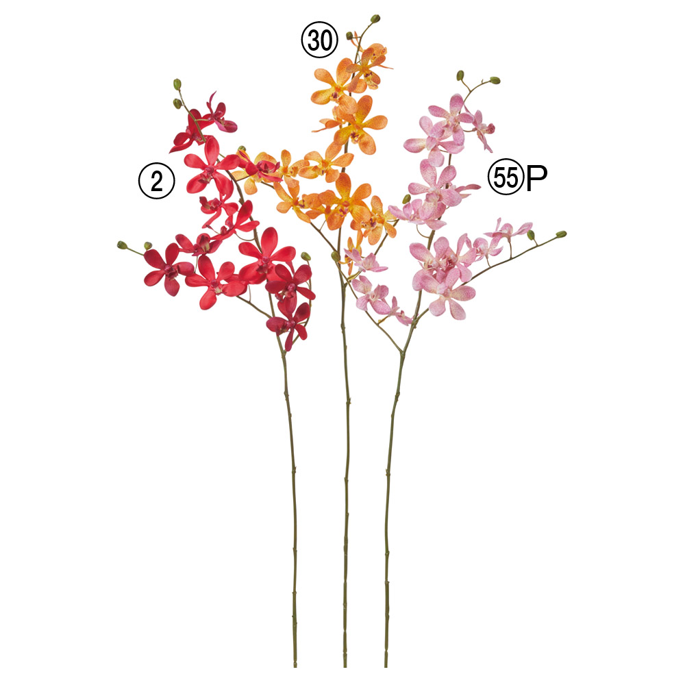 オーキッド×14つぼみ×5