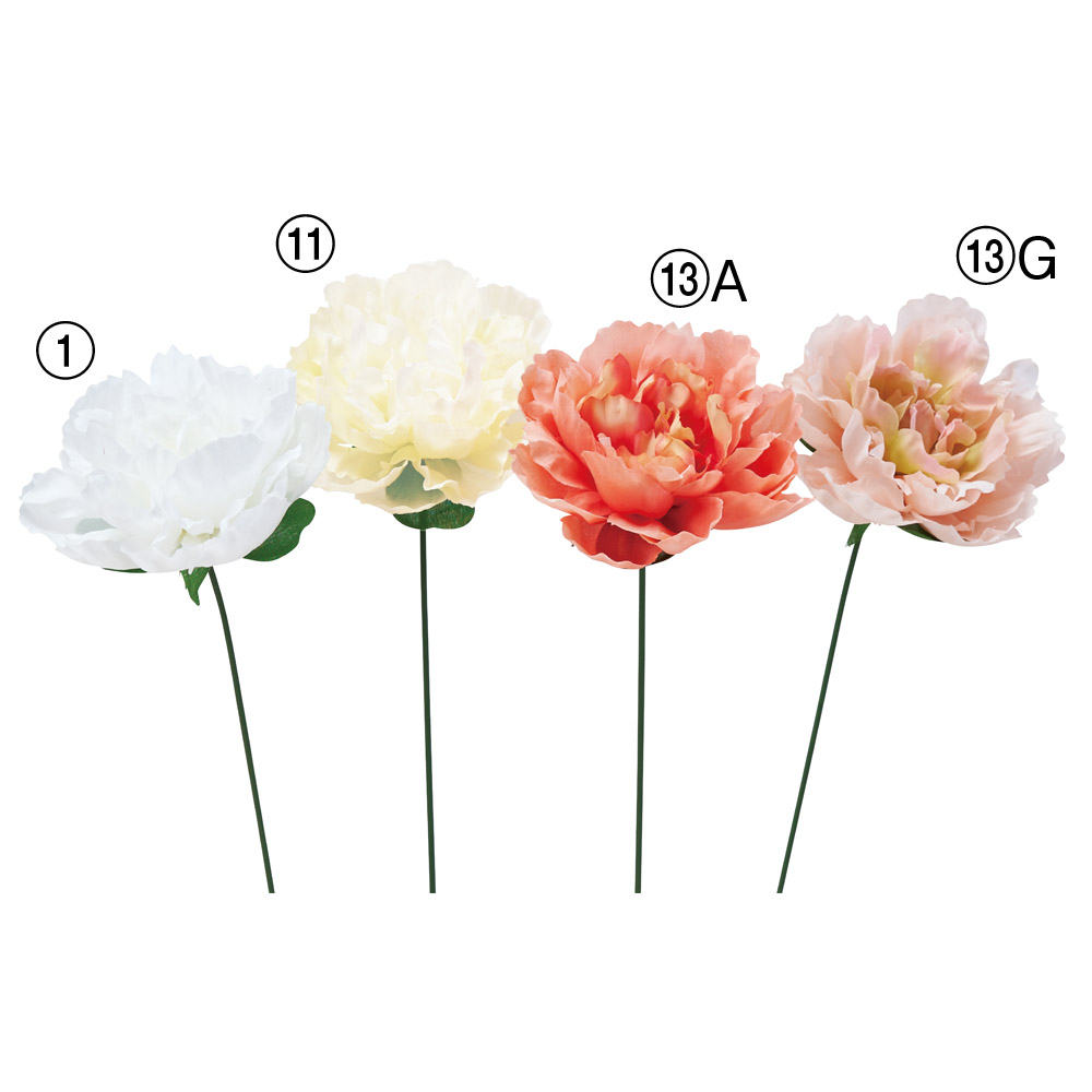 ピオニーピック