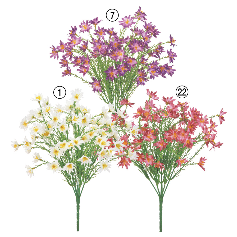ワイルドフラワーブッシュ×63