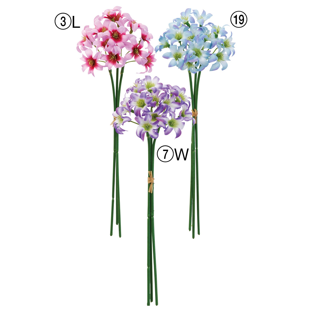 リューココリーネバンチ（1束3本）