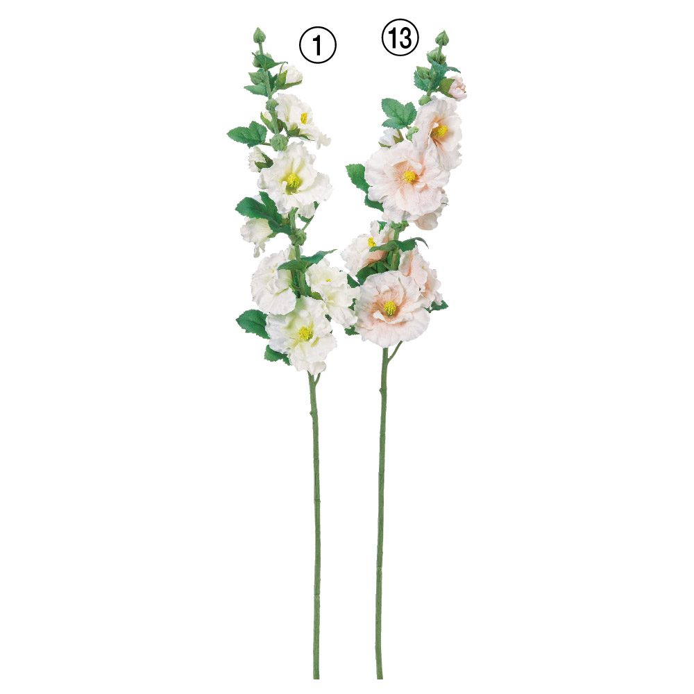 タチアオイ×6つぼみ×11