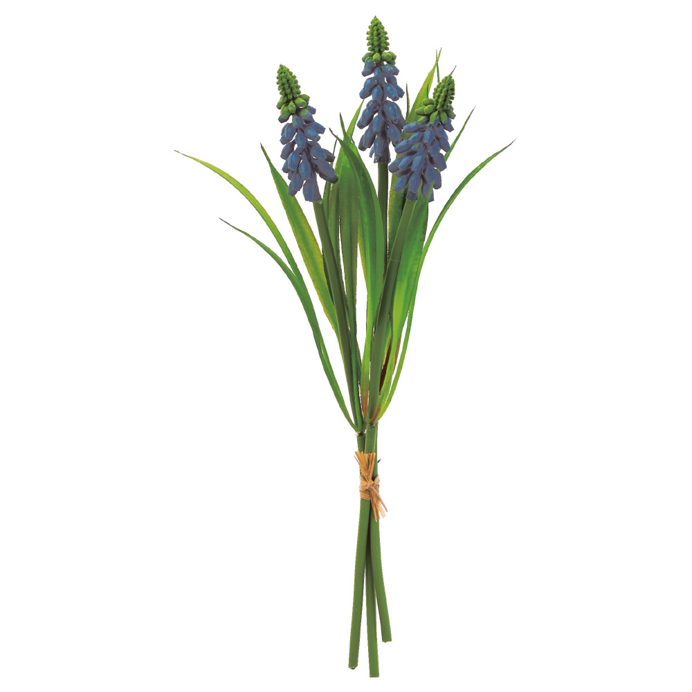 ムスカリバンチ（1束3本）