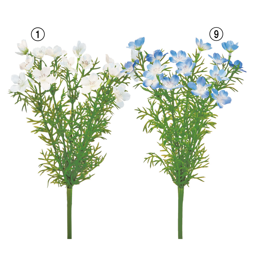 ネモフィラブッシュ×15