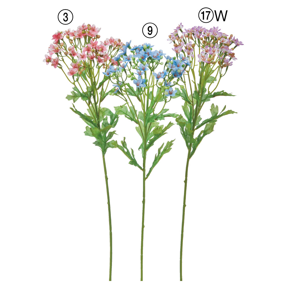 ワイルドフラワー×40つぼみ×60