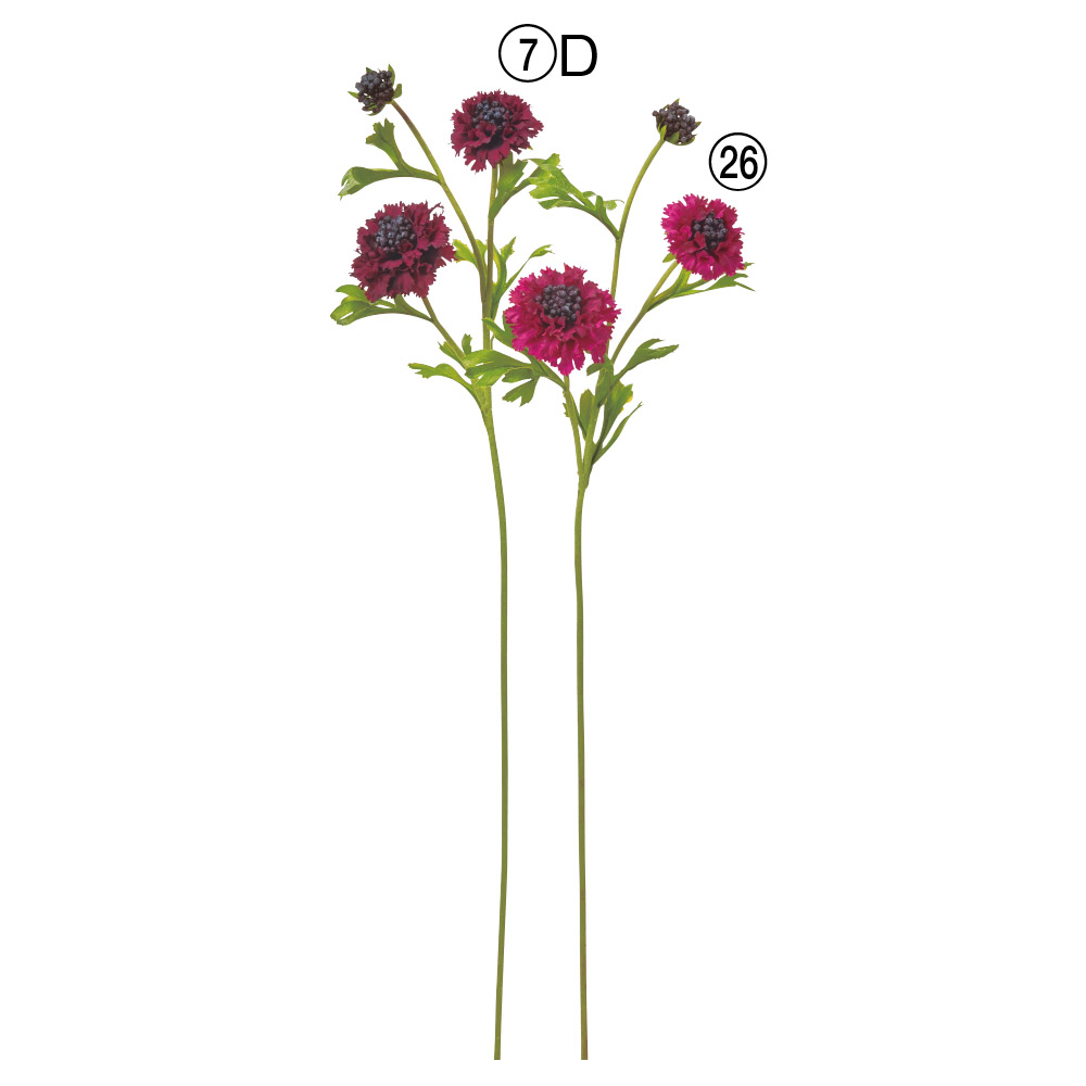 スカビオサ×2つぼみ×1