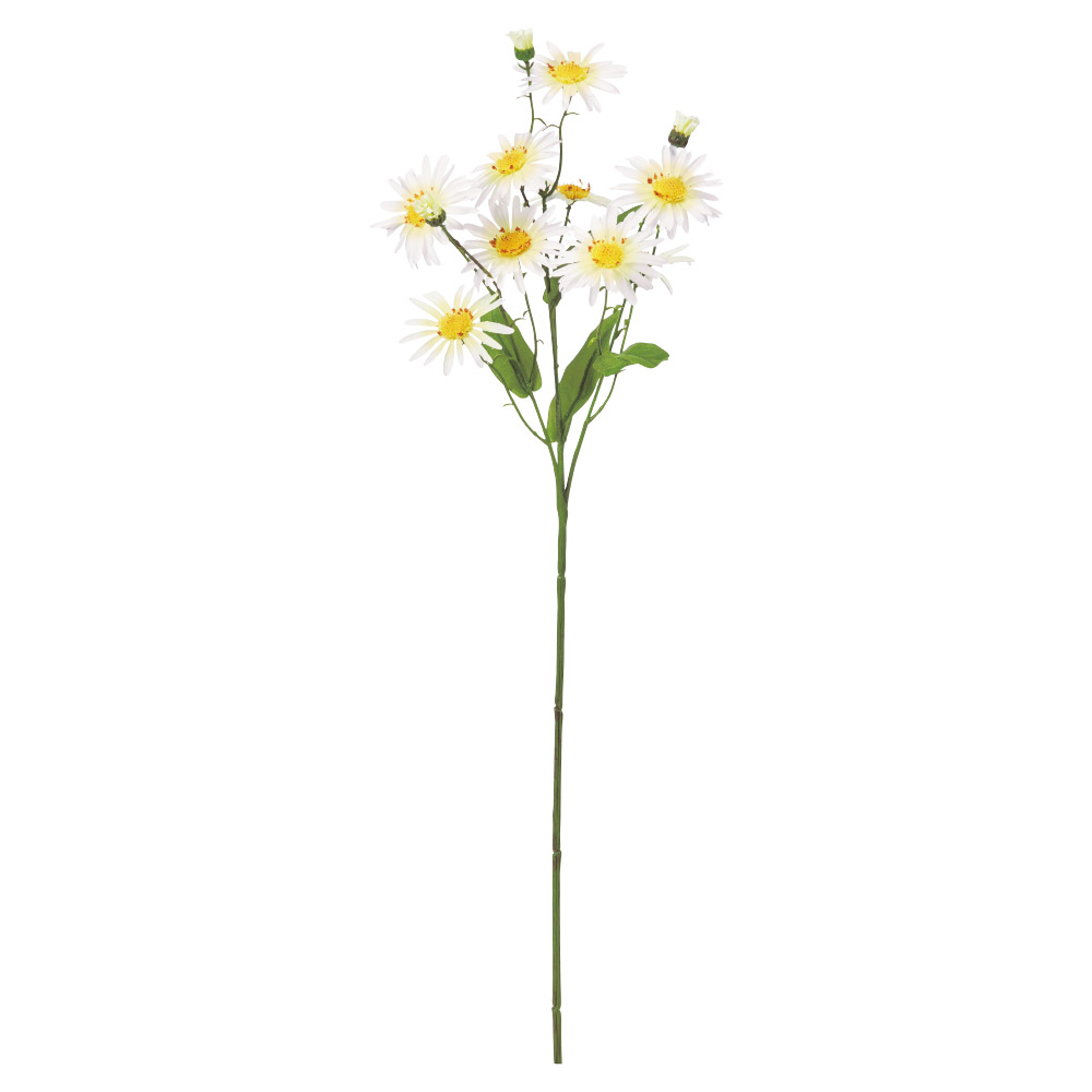 デージー×9つぼみ×3