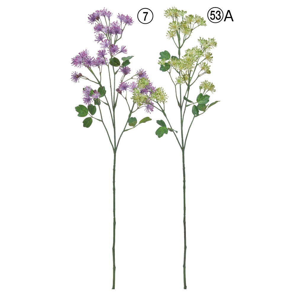 サリクトラム×44つぼみ×9