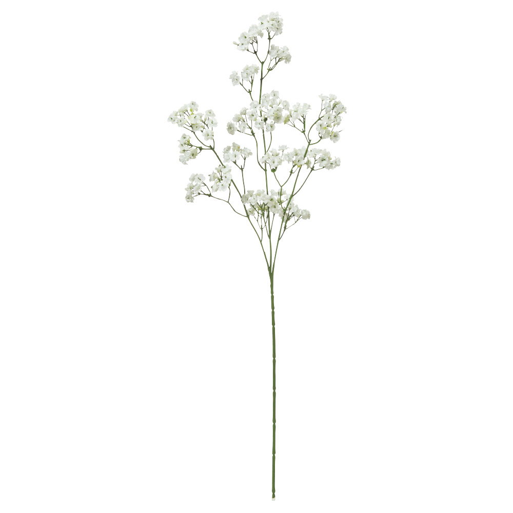 ジプソフィラ×138つぼみ×69