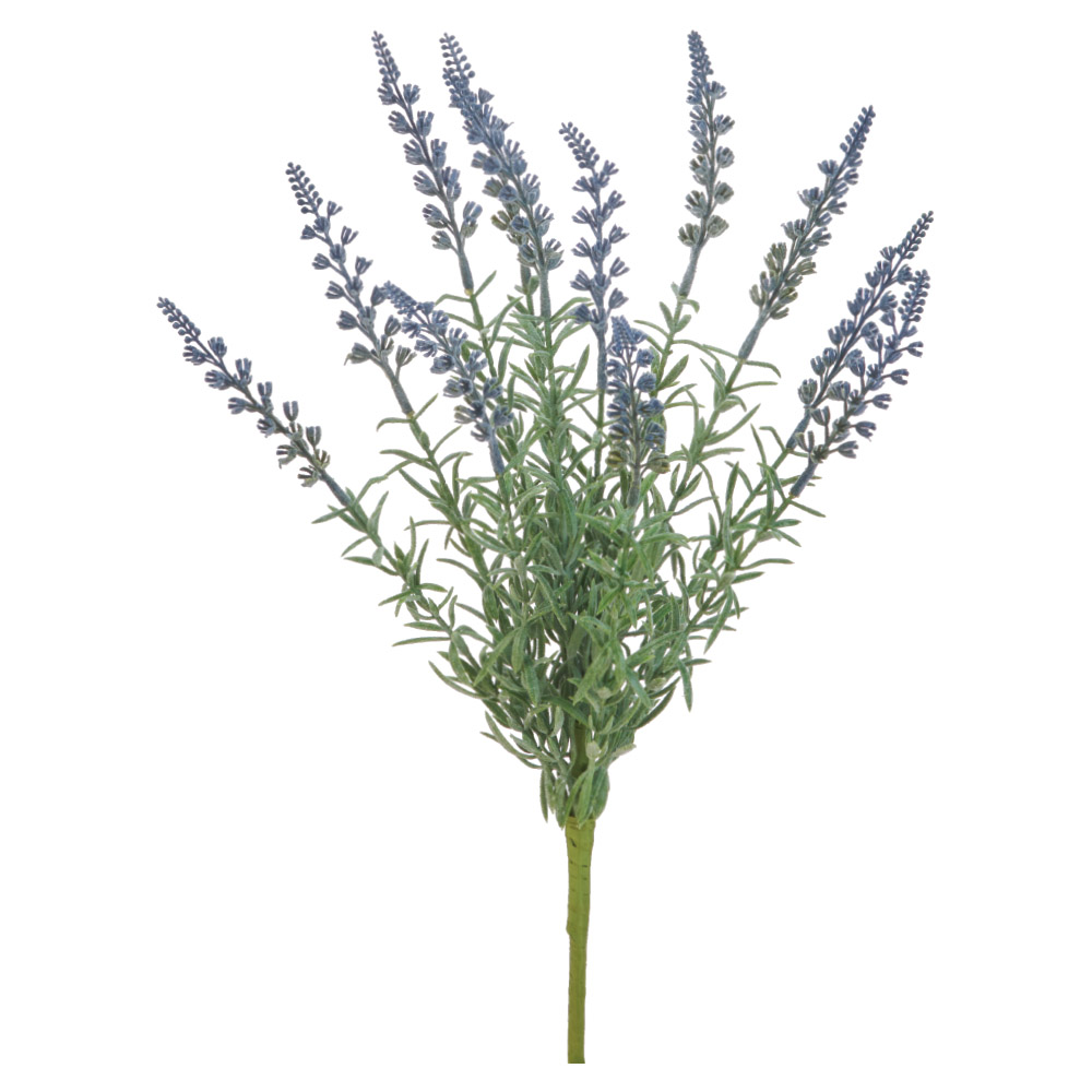 ラベンダーブッシュ