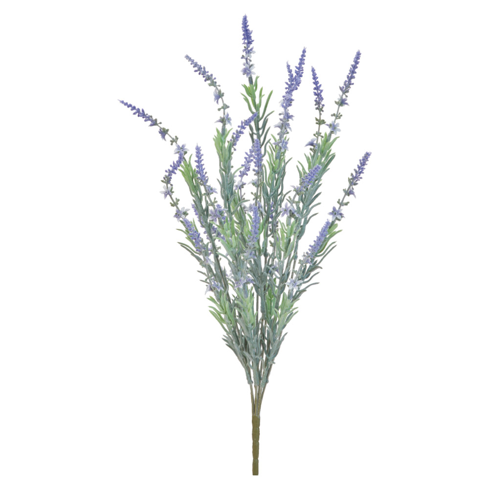 ラベンダーブッシュ