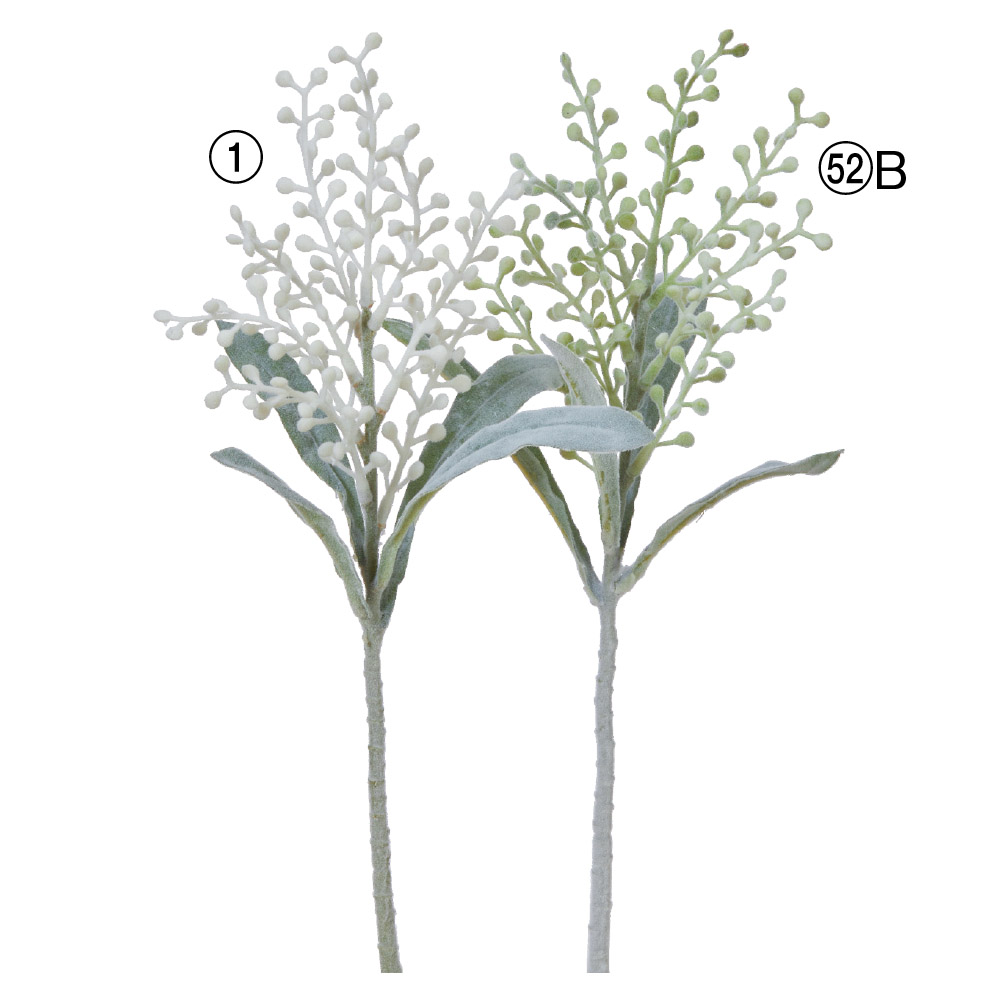 ベリースプレー